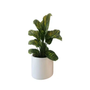 Maceta Cilindro 30x30 En Fibra De Vidrio Reforzada Minimalista