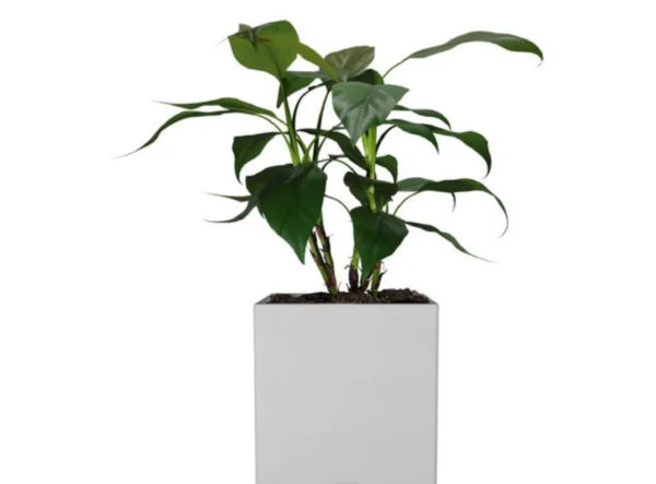 Maceta Cubo 60x60 En Fibra De Vidrio Reforzada Minimalista